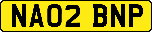 NA02BNP