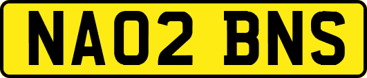 NA02BNS
