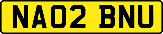 NA02BNU
