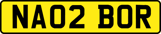 NA02BOR