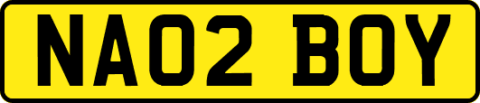 NA02BOY
