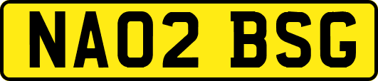 NA02BSG