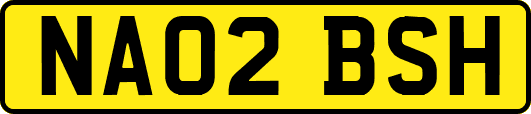 NA02BSH