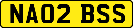 NA02BSS