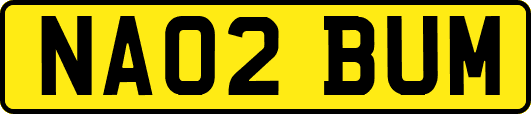 NA02BUM