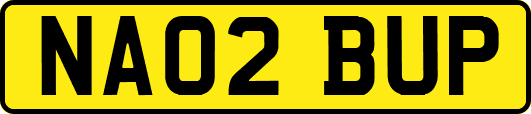 NA02BUP
