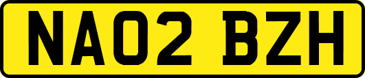 NA02BZH