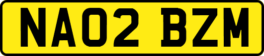 NA02BZM