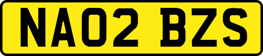 NA02BZS