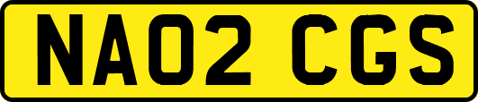 NA02CGS