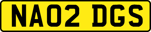 NA02DGS