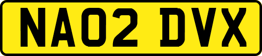 NA02DVX