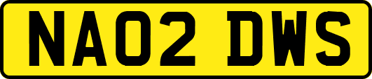 NA02DWS