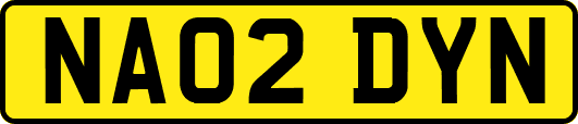 NA02DYN