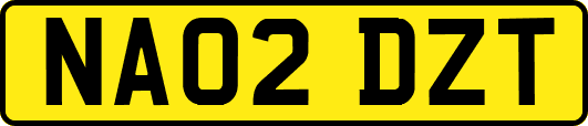 NA02DZT