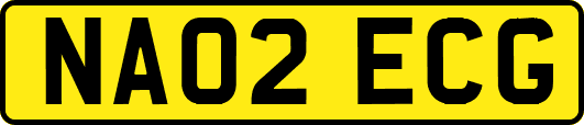 NA02ECG