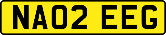 NA02EEG