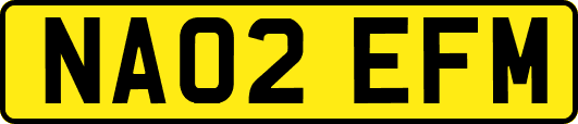 NA02EFM