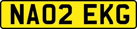 NA02EKG