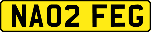 NA02FEG