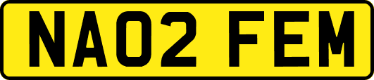 NA02FEM