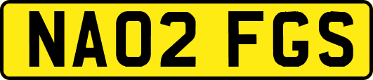 NA02FGS