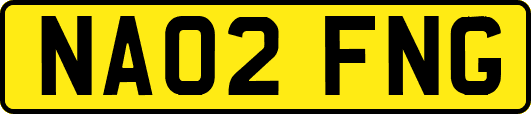 NA02FNG