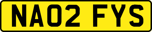 NA02FYS