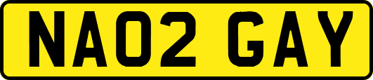 NA02GAY