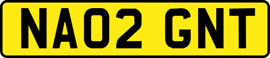 NA02GNT