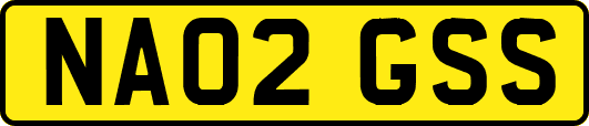 NA02GSS