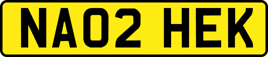 NA02HEK