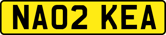 NA02KEA