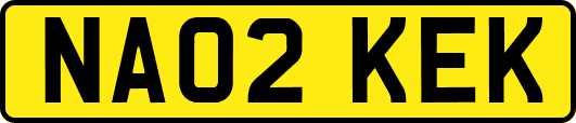 NA02KEK
