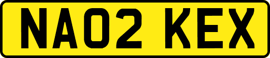 NA02KEX