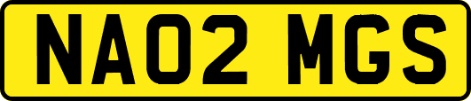 NA02MGS