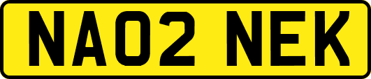 NA02NEK