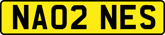 NA02NES