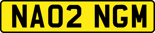 NA02NGM