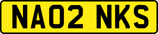 NA02NKS
