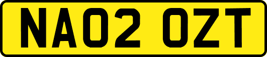 NA02OZT