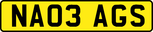 NA03AGS