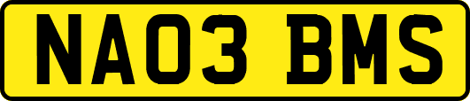 NA03BMS