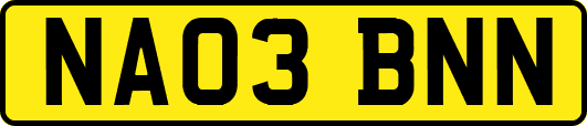 NA03BNN