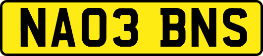 NA03BNS