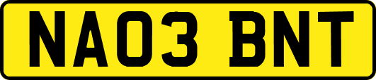 NA03BNT
