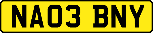 NA03BNY