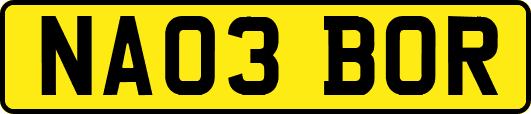 NA03BOR