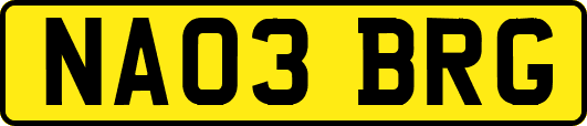 NA03BRG