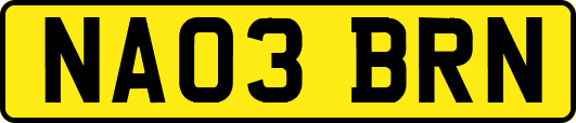 NA03BRN